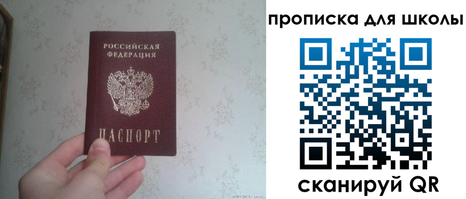 прописка в квартире в Амурской области